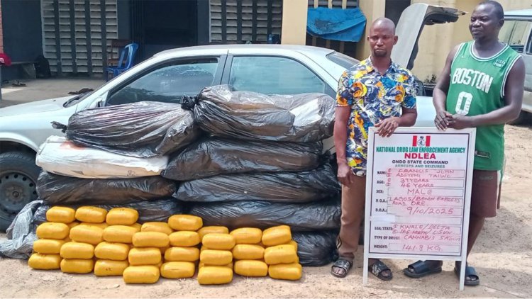 NDLEA uncovers drugs hidden in drinks, soaps, and food on route to Europe, Africa, and Middle East 2 NDLEA arrests cocaine dealer