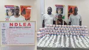 Drug suspects arrested by NDLEA operatives