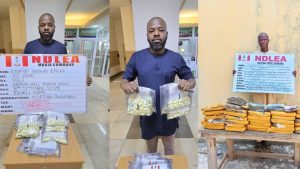Businessman excretes 127 cocaine wraps at Kano Airport as NDLEA uncovers meth in ceramics