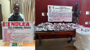 Drug suspects arrested by NDLEA operatives