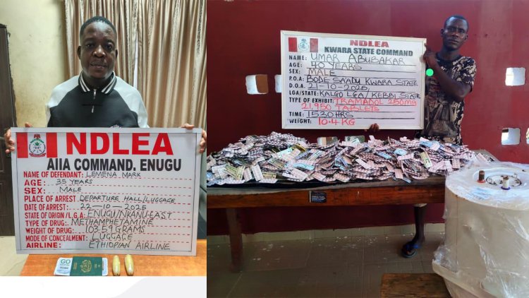 Drug suspects arrested by NDLEA operatives