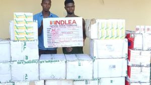 Drug suspects arrested by NDLEA operatives