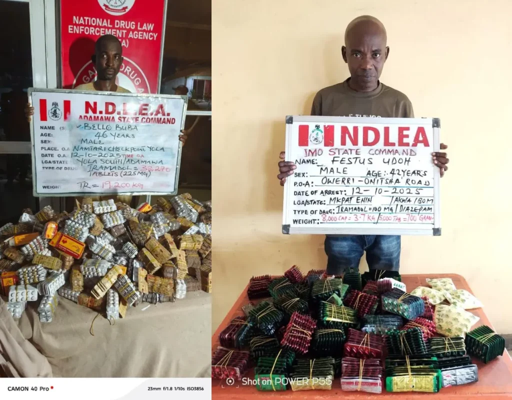 NDLEA arrests drug traffickers