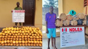 NDLEA arrests drug traffickers