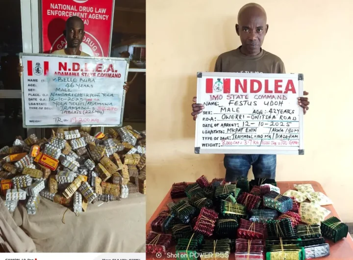 NDLEA arrests drug traffickers
