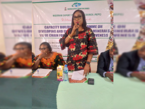 NEPC tasks Plateau solid-mineral stakeholders on developing sector