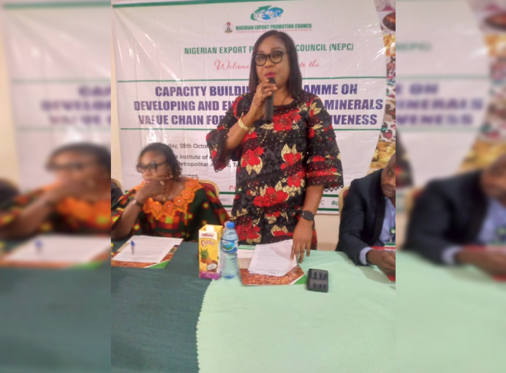 NEPC tasks Plateau solid-mineral stakeholders on developing sector