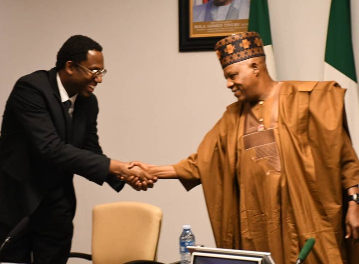 VP Kashim Shettima