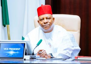 Vice President Kashim Shettima