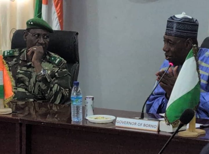 Zulum travels to Niger Republic
