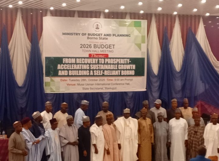 Zulum urges Borno stakeholders’ active input in 2026 budget