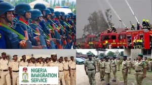 immigration fire civil defense and NCoS