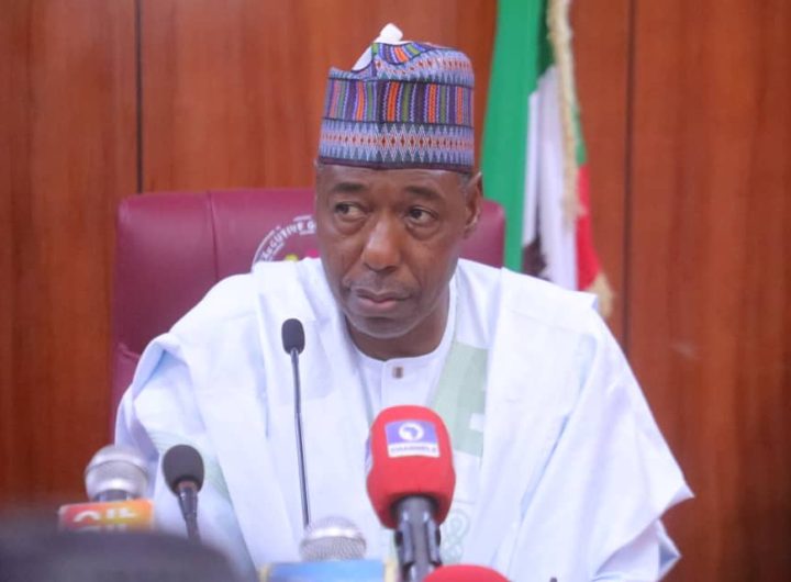 Zulum approves ₦1 billion for new agric university's take off