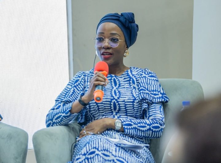 Director General of Nigeria's National Council on Climate Change, Tenioye Majekodunmi
