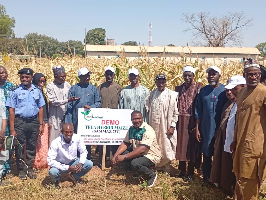 Ecobasic Seed, ABU urge farmers to embrace modern seed technology to tackle food insecurity