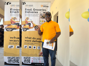 Foundation launches e-commerce, local deliveries platform in Borno