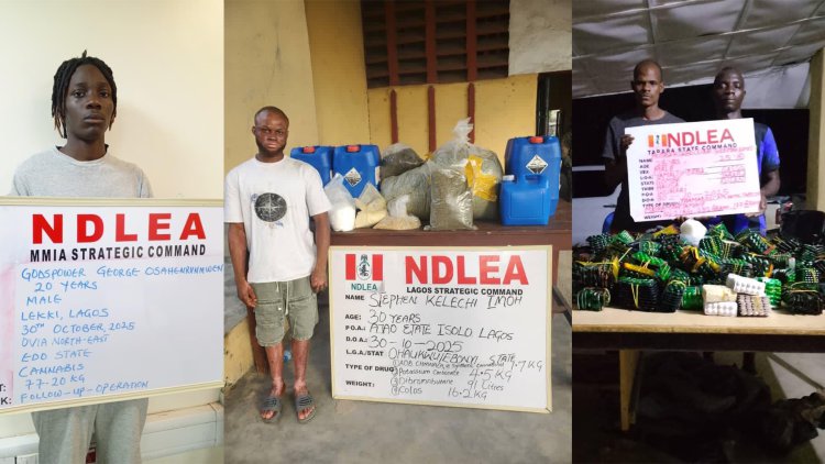 Drug suspects arrested by NDLEA operatives