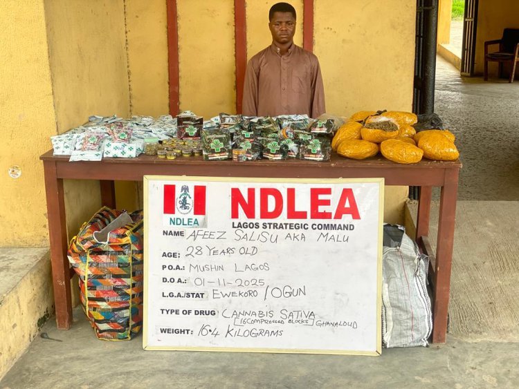 Drug suspects arrested by NDLEA operatives