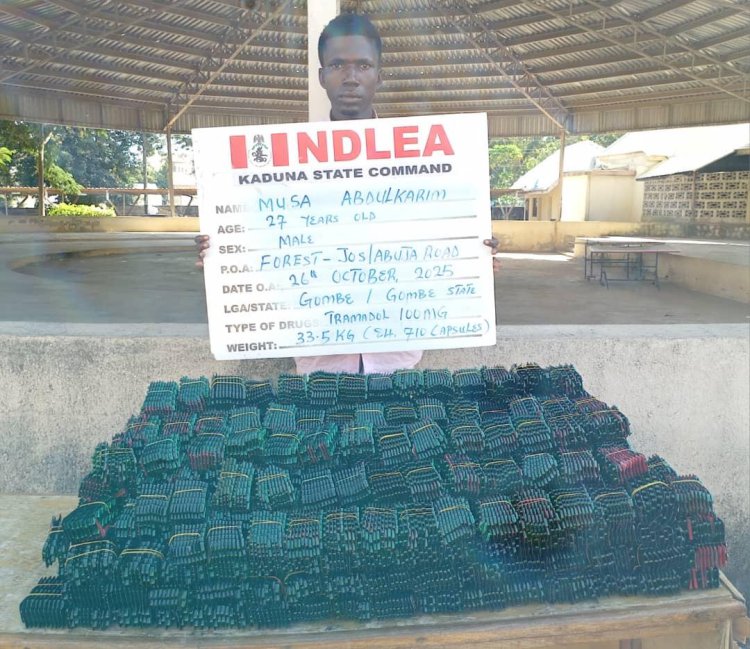NDLEA nabs drug suspects