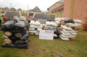NDLEA raids drug cartels