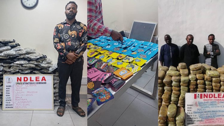 NDLEA uncovers illicit drugs packaged as Christmas cookies, arrests distributors in Lagos 2 NDLEA uncovers illicit drugs packaged as Christmas cookies, arrests distributors in Lagos