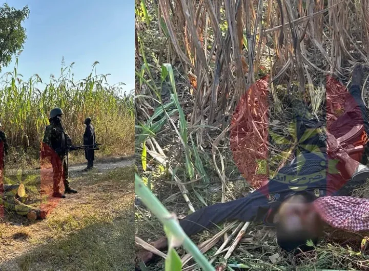Troops of 12 Brigade foil bandits ambush, rescue kidnapped victim in Kogi