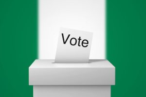 Nigerians vote in election