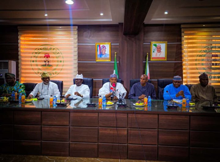PDP Chairmen back Damagun