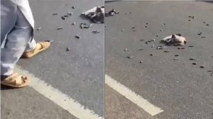 Ammunition dumped on Kaduna highway as police track gunrunning networks feeding terrorist's cells