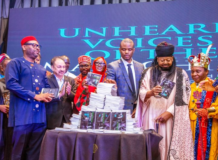 GAIYD, American University honour Nigerians supporting boy-child development