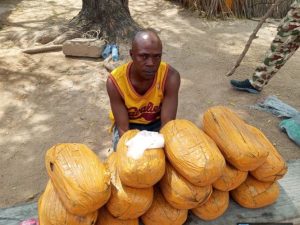 Troops arrest major drug supplier to terrorists in Adamawa