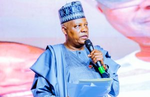 VP Kashim Shettima 2