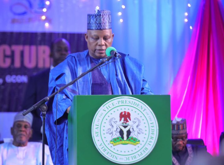 VP Kashim Shettima