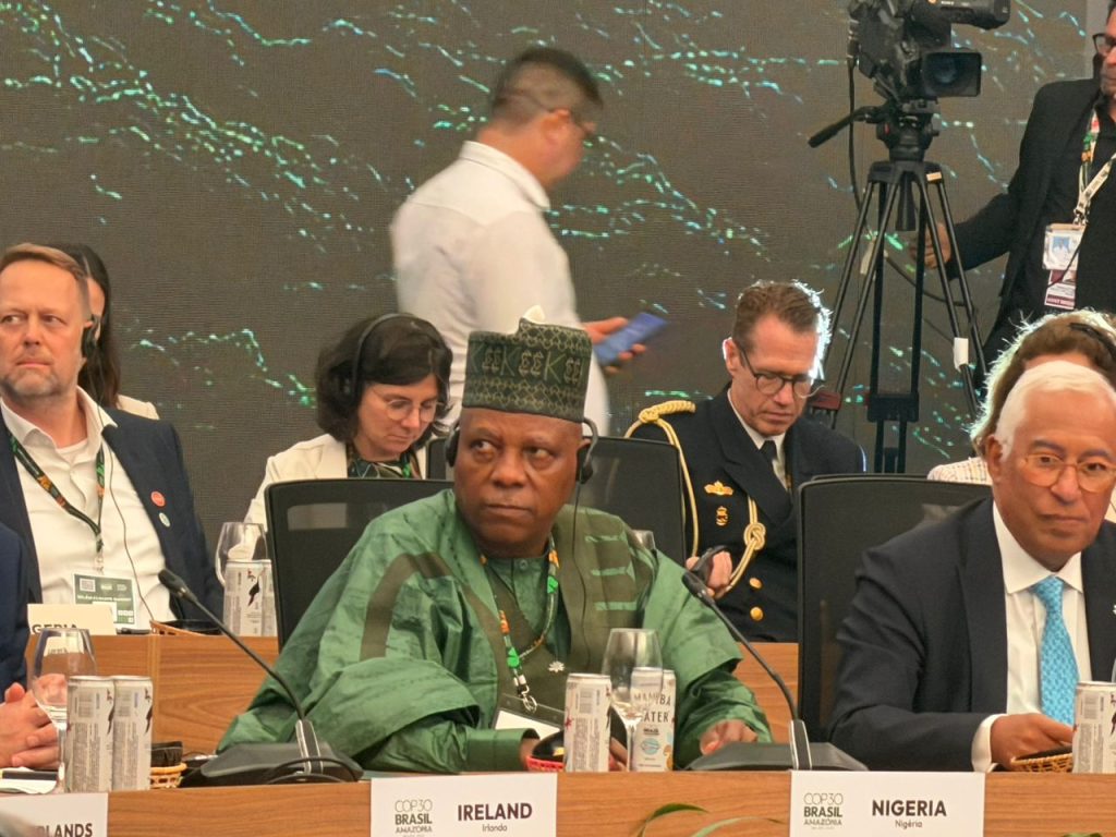 At COP 30, Nigeria demands boost in global financing to restore, protect nature