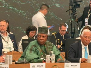 At COP 30, Nigeria demands boost in global financing to restore, protect nature