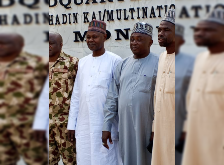 Zulum remains committed in resuscitation of Lake Chad Basin