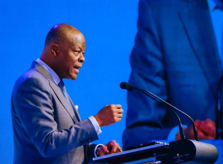 minister of finance, Wale Edun
