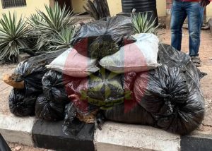 troops arrest drug trafficker in kogi