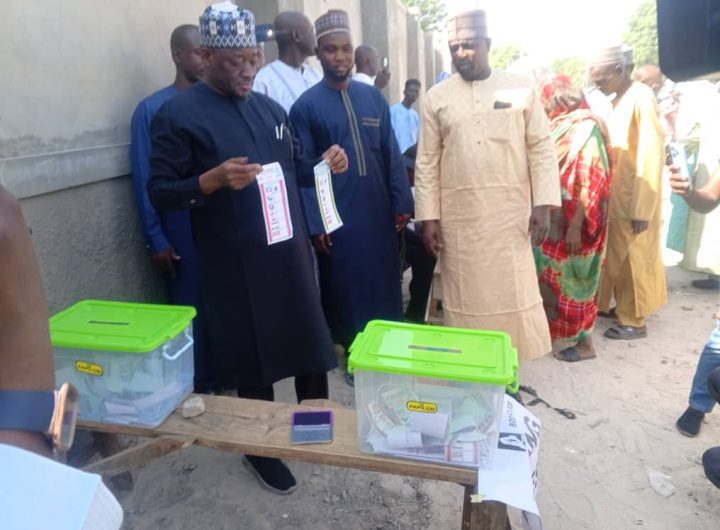 Borno LG election