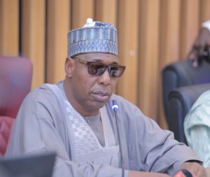 Borno State Governor Babagana Zulum