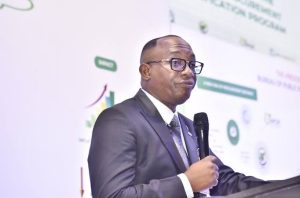 Director General of the Bureau of Public Procurement (BPP), Dr. Adebowale Adedokun