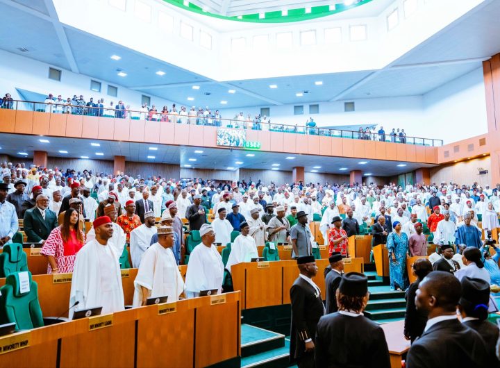 Lawmakers at the House of Representatives