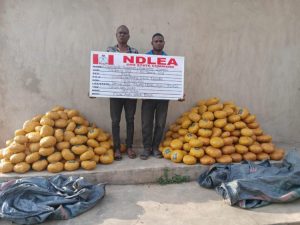 NDLEA arrest drug suspect 1