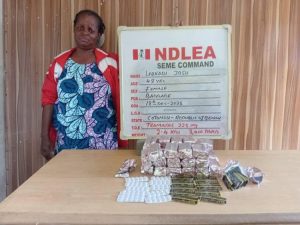 NDLEA arrest drug suspect 2