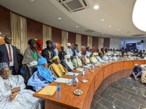 Northern governors, traditional rulers back state police, seek 6-month suspension of mining to tackle insecurity