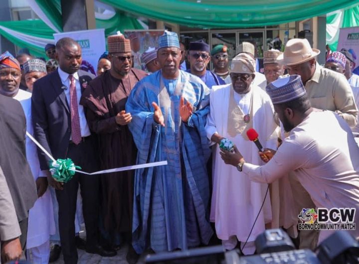 Tinubu commends Governor Zulum for outstanding people-focused projects