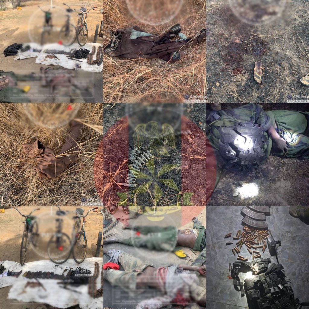 Troops eliminate terrorists from Mandara Mountains