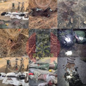 Troops eliminate terrorists from Mandara Mountains