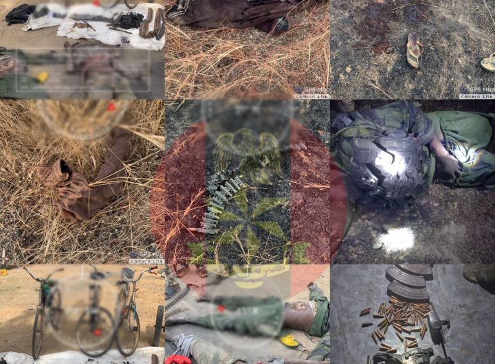Troops eliminate terrorists from Mandara Mountains