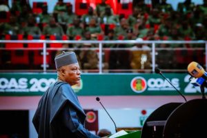 VP Kashim Shettima